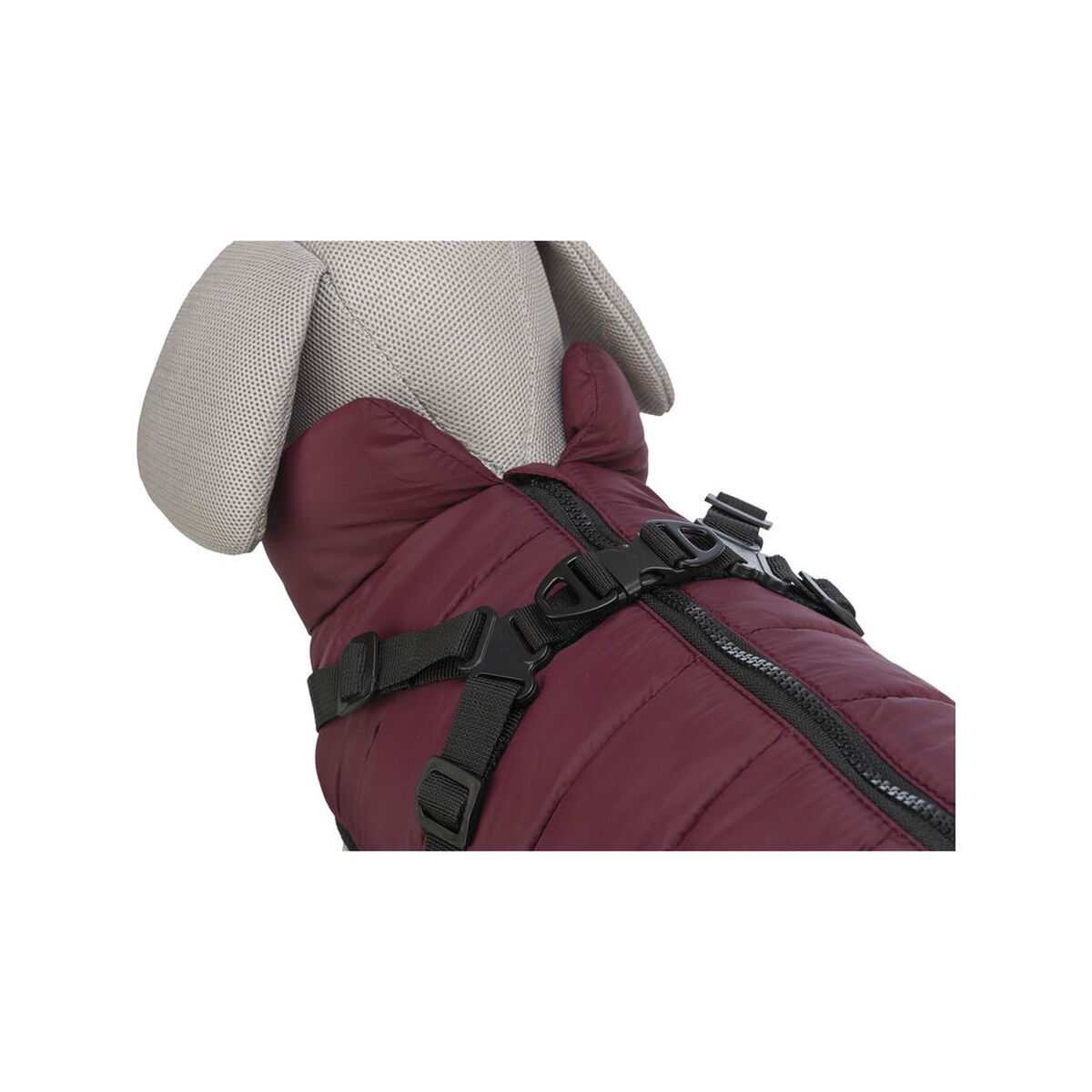 Cappotto per Cani Trixie Pirou Rosso Granato S - Immagine 7