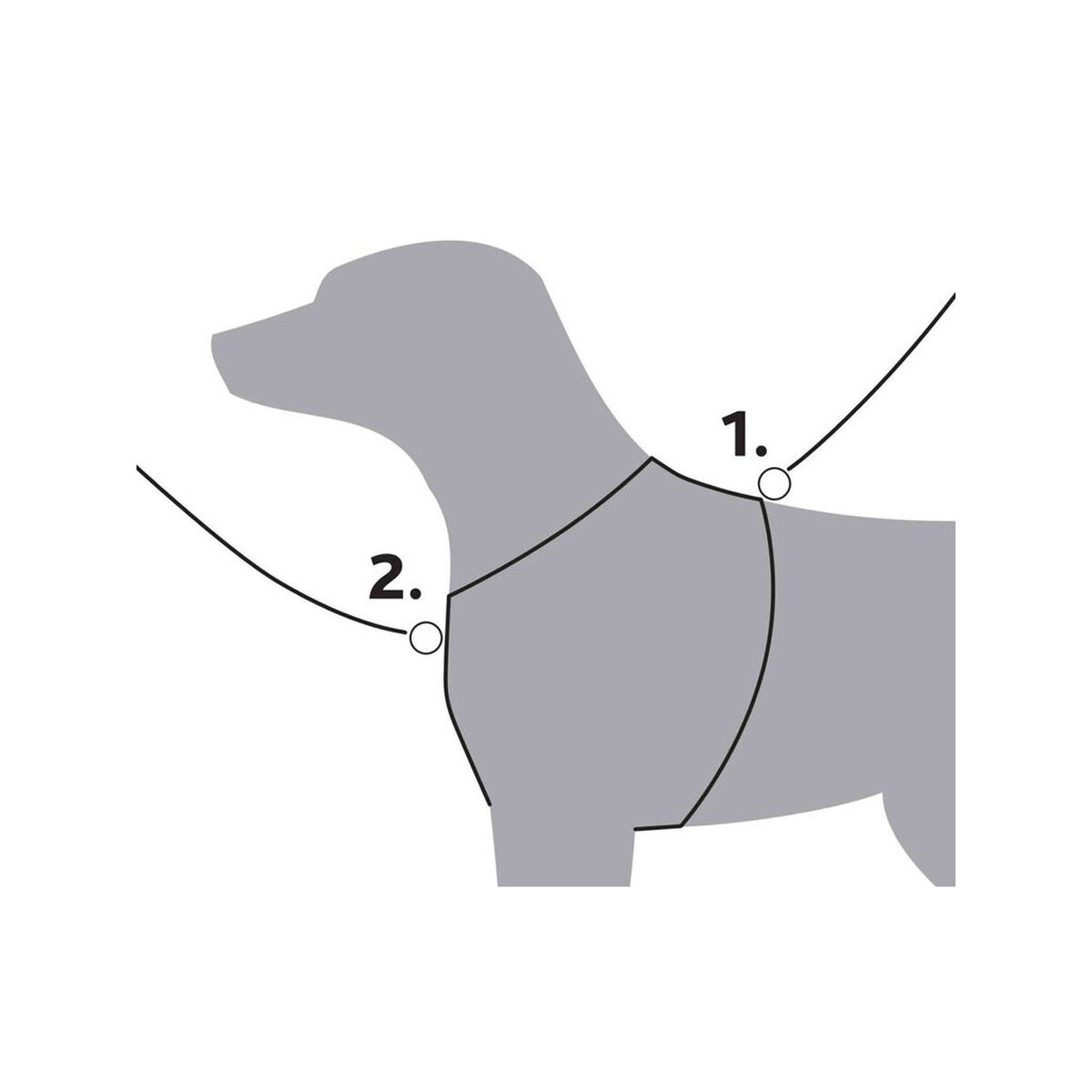Imbracatura per Cani Trixie Premium Trekking Grafite Sabbia S - Immagine 3