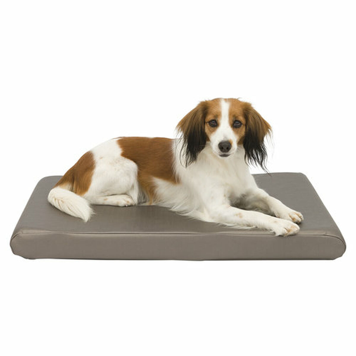 Cuccia per Cani Trixie Sansa Taupé Metallic - Immagine 2