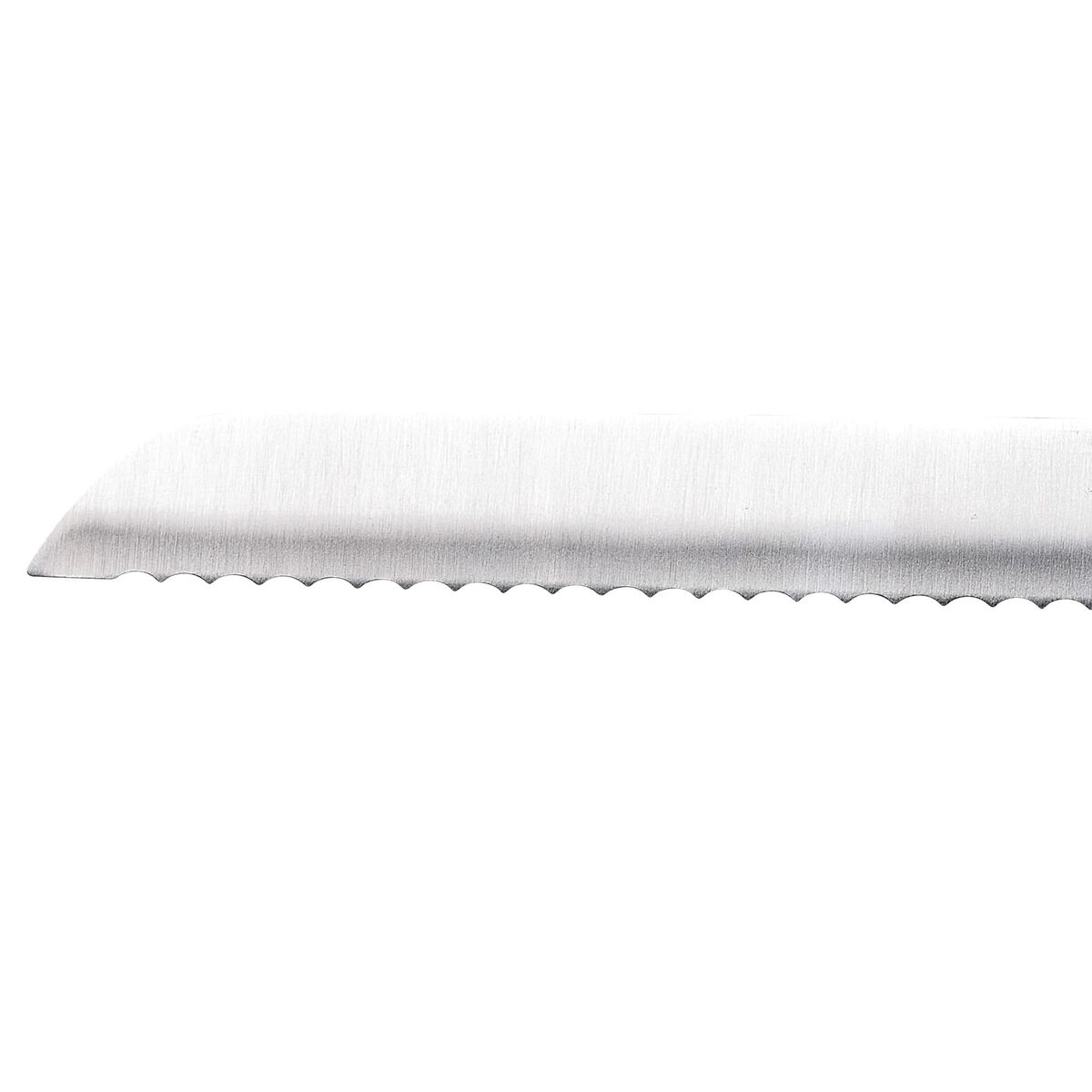 Coltello per il Pane San Ignacio Expert SG41026 Acciaio inossidabile ABS 20 cm - Immagine 5