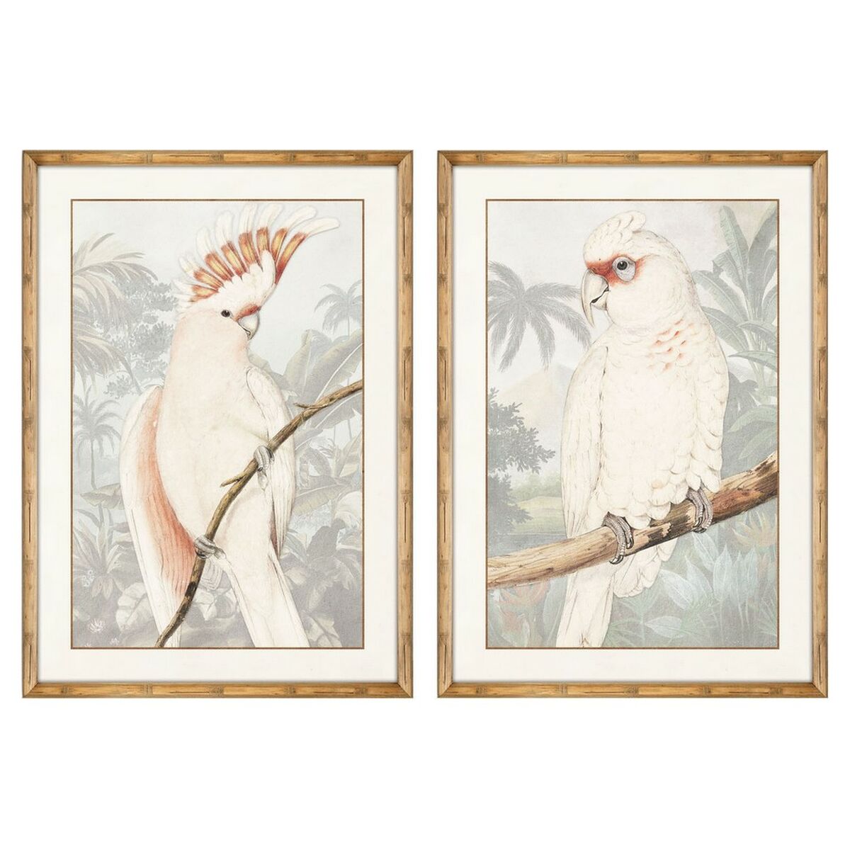 Quadro DKD Home Decor Pappagallo Tropicale 50 x 3 x 70 cm (2 Unità)