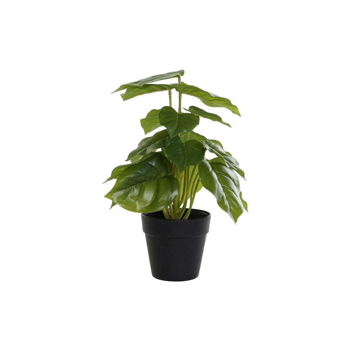 Pianta Decorativa DKD Home Decor PVC polipropilene 20 x 20 x 30 cm