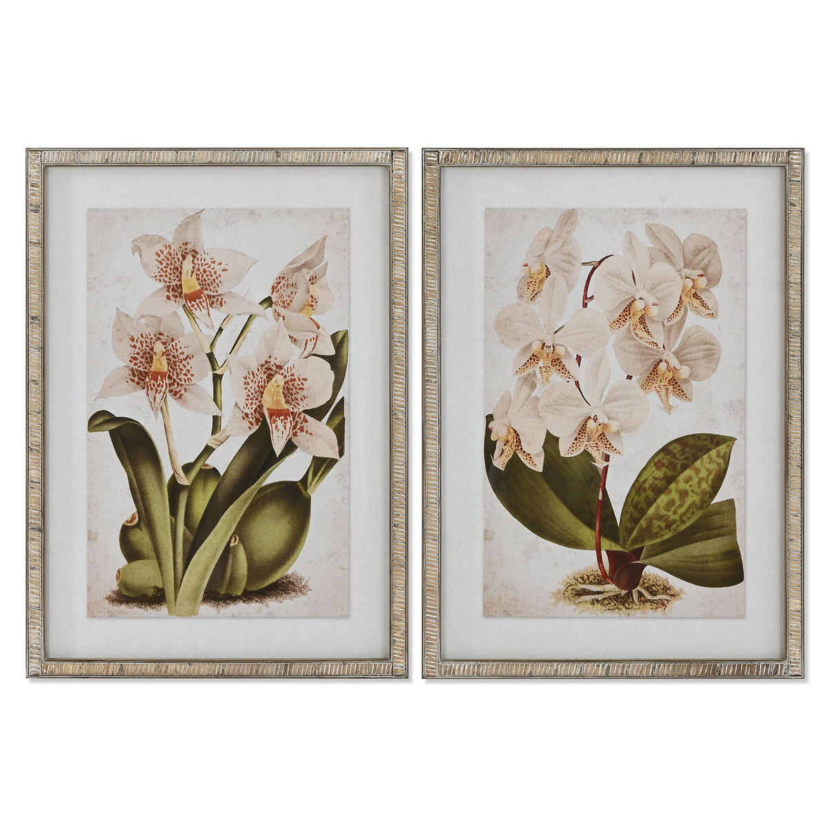Quadro Home ESPRIT Cristallo Rattan Abete 50 x 2 x 70 cm 50 x 2,5 x 70 cm