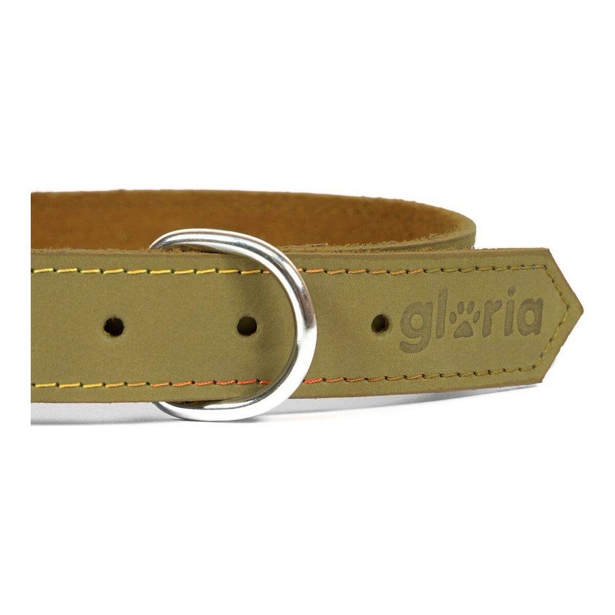 Collare per Cani Gloria Oasis Verde (40 x 1,5 cm) - Immagine 4