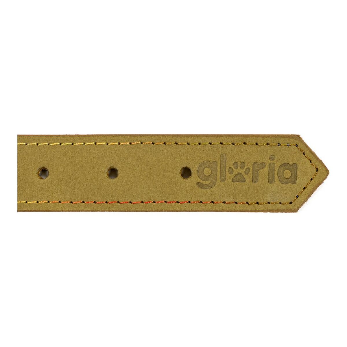 Collare per Cani Gloria Oasis Verde (40 x 1,5 cm) - Immagine 6