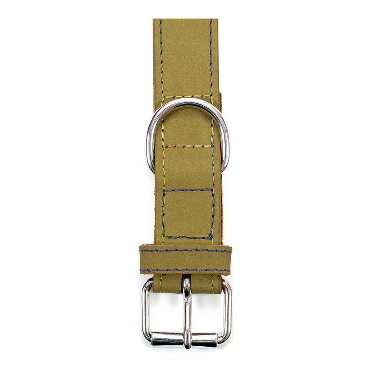 Collare per Cani Gloria Oasis Verde (45 x 1,8 cm) - Immagine 5