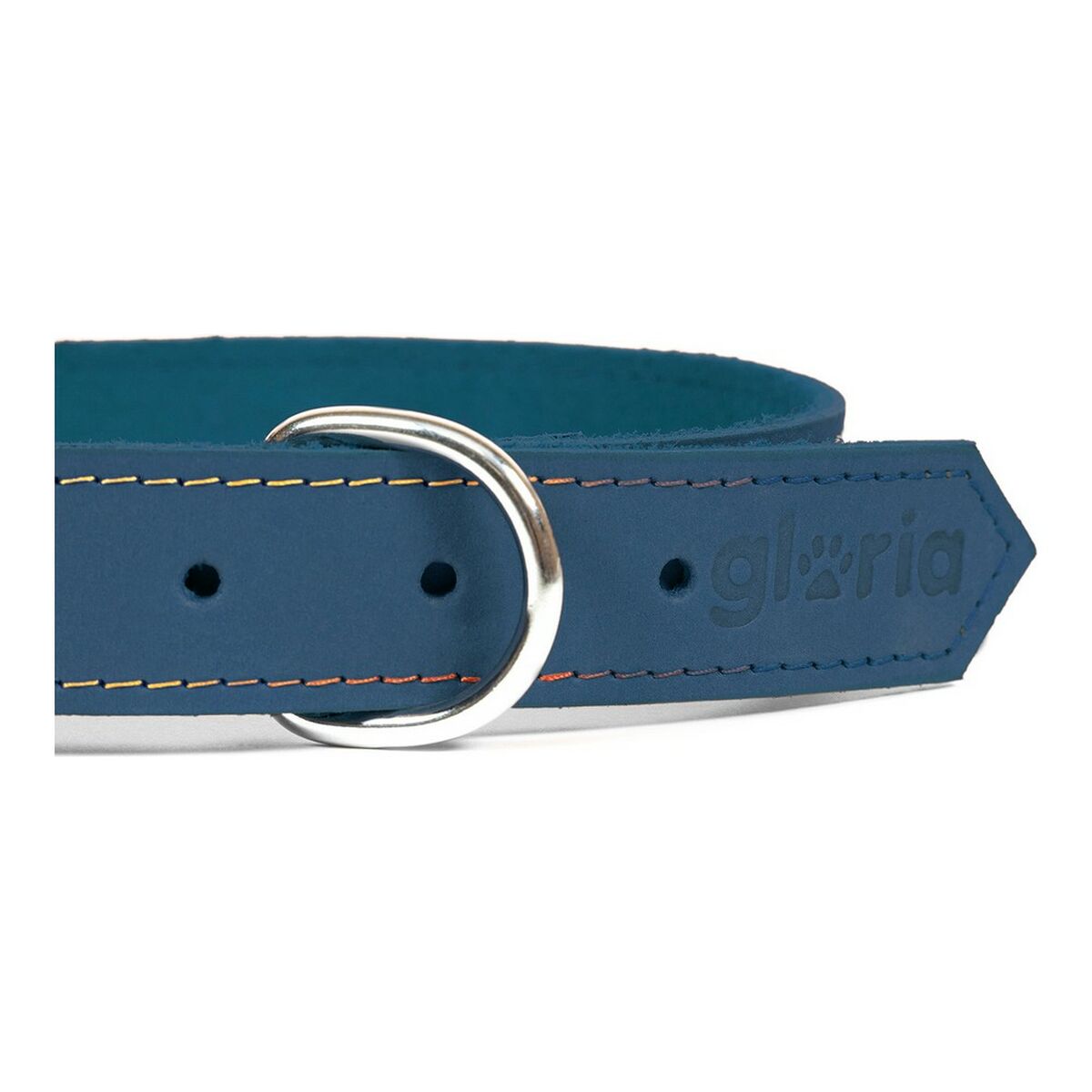 Collare per Cani Gloria Oasis Azzurro (55 x 2,5 cm) - Immagine 5