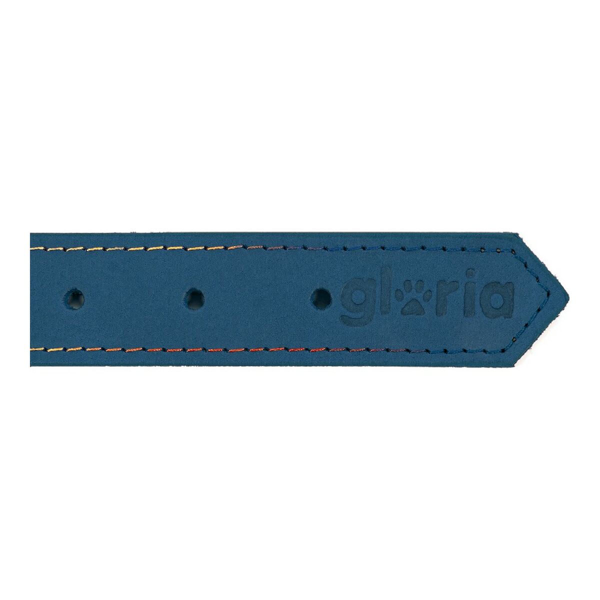 Collare per Cani Gloria Oasis Azzurro (55 x 2,5 cm) - Immagine 6