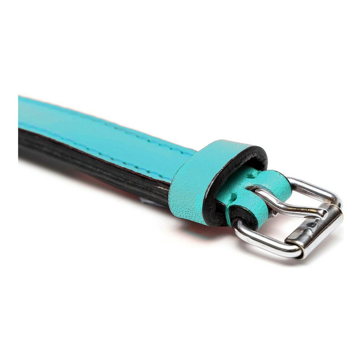 Collare per Cani Gloria Trapunta Turchese (35 x 1,5 cm) - Immagine 4