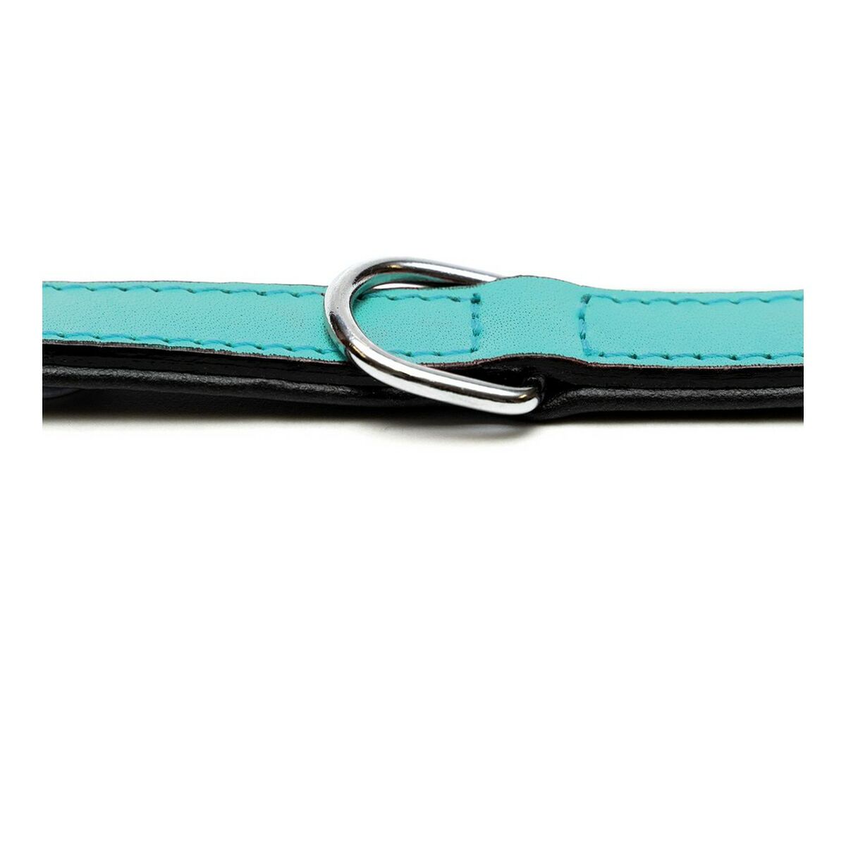 Collare per Cani Gloria Trapunta Turchese (35 x 1,5 cm) - Immagine 6