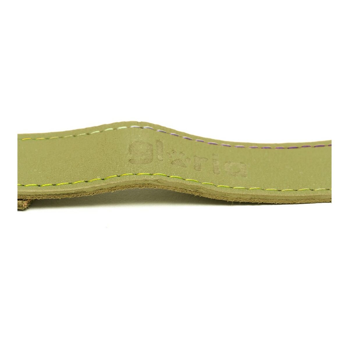 Guinzaglio per Cani Gloria Oasis 3 x 60 cm Verde - Immagine 3