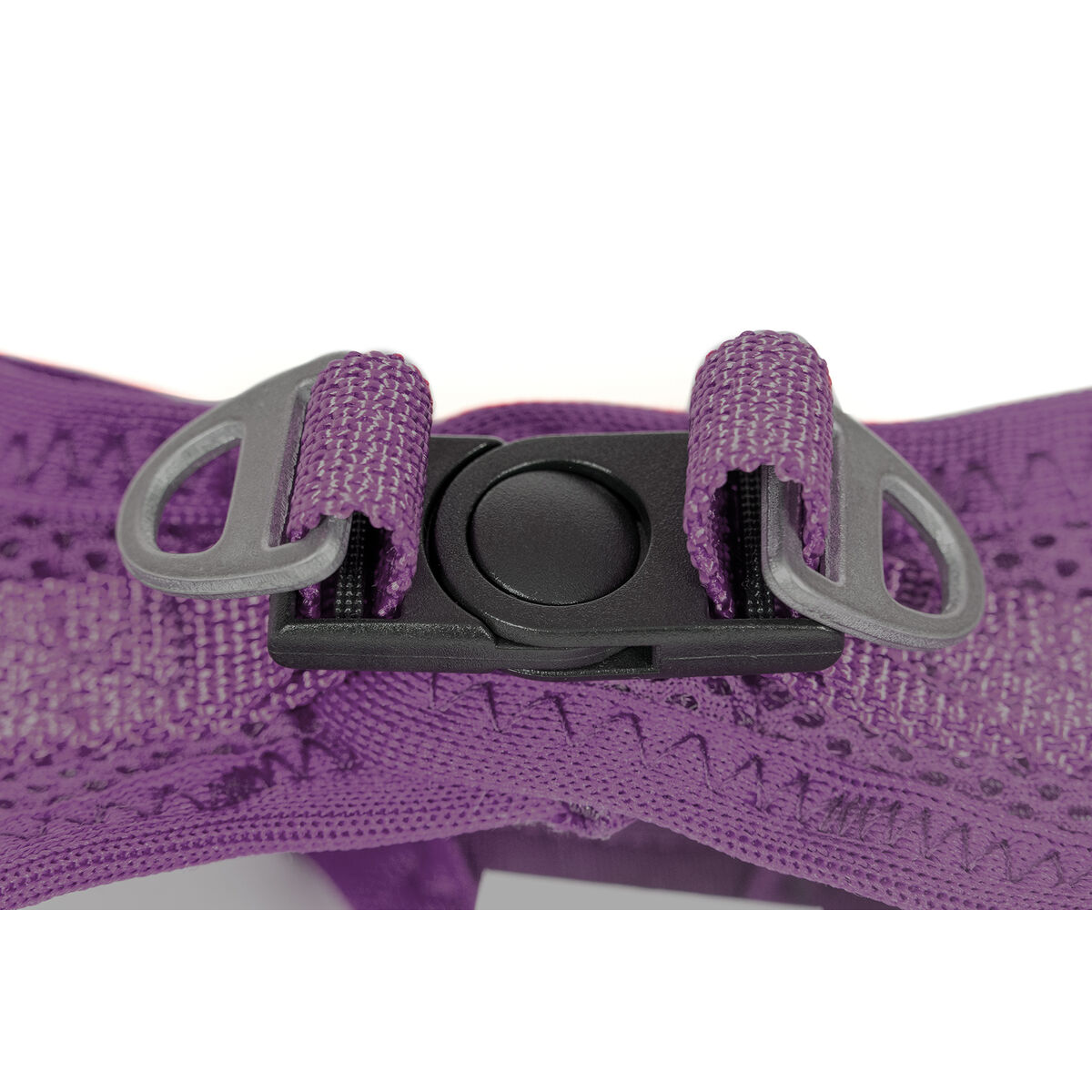 Imbracatura per Cani Gloria Trek Star 27-28 cm 31-34,6 cm Viola XS - Immagine 3