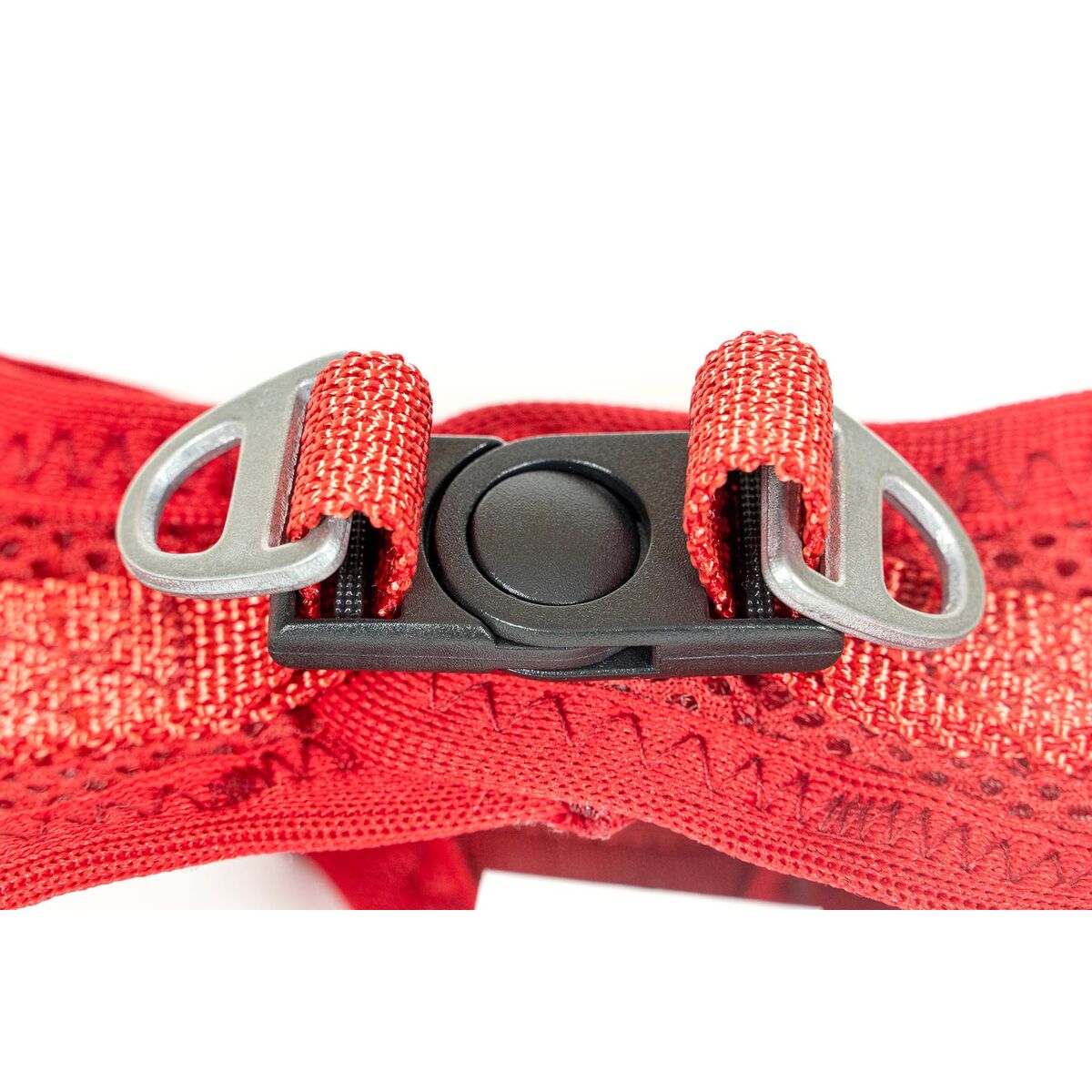 Imbracatura per Cani Gloria Trek Star 33,4-35 cm 51-52 cm Rosso L - Immagine 3