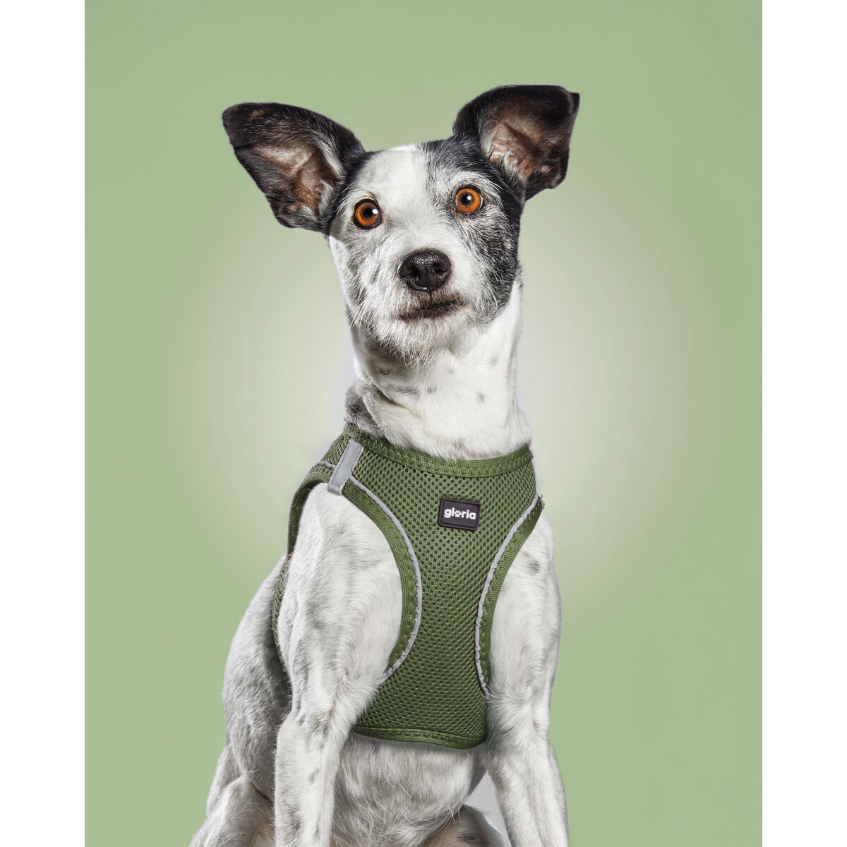 Imbracatura per Cani Gloria 31-34,6 cm Verde XS 27-28 cm - Immagine 6