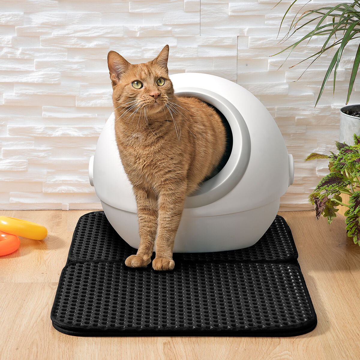 Tappetino per Lettiera per Gatti Clikatt InnovaGoods - Immagine 6