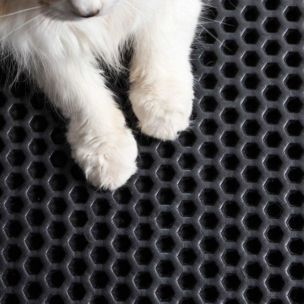 Tappetino per Lettiera per Gatti Clikatt InnovaGoods - Immagine 8