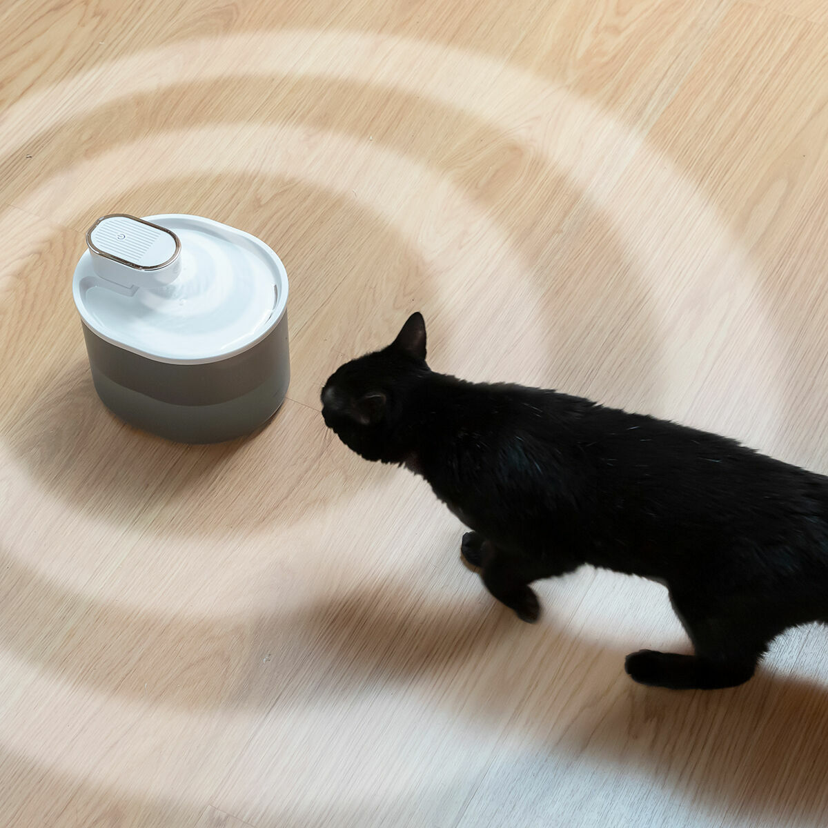 Fontanella per Gatti Ricaricabile con Sensore Refopet InnovaGoods - Immagine 3