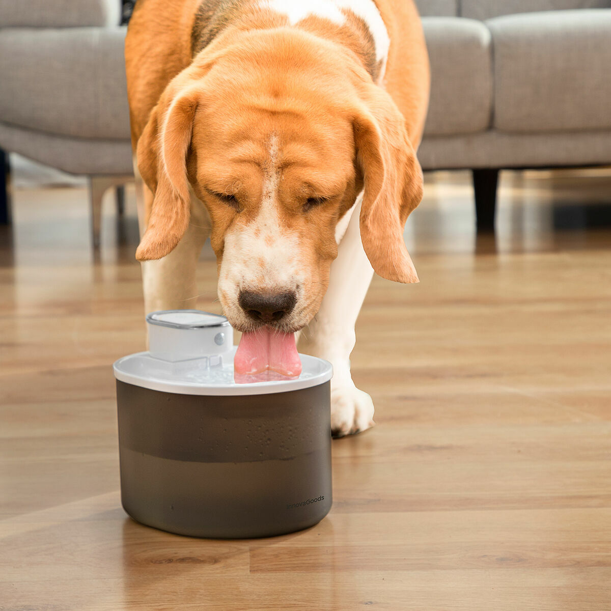 Fontanella per Gatti Ricaricabile con Sensore Refopet InnovaGoods - Immagine 6