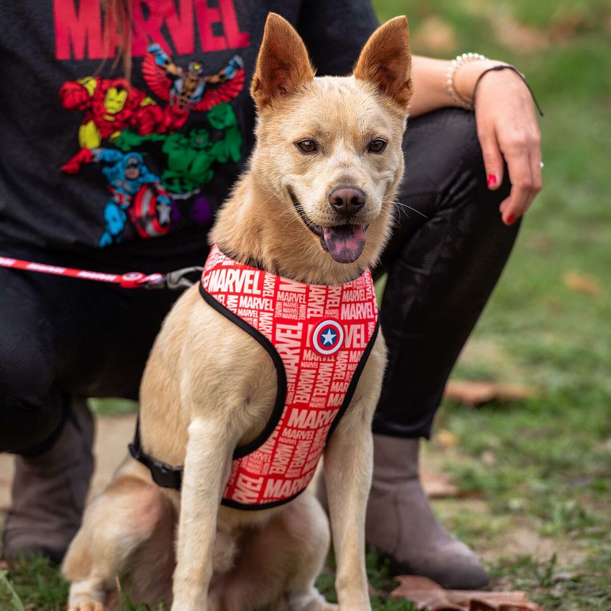 Imbracatura per Cani Marvel M/L Rosso - Immagine 7