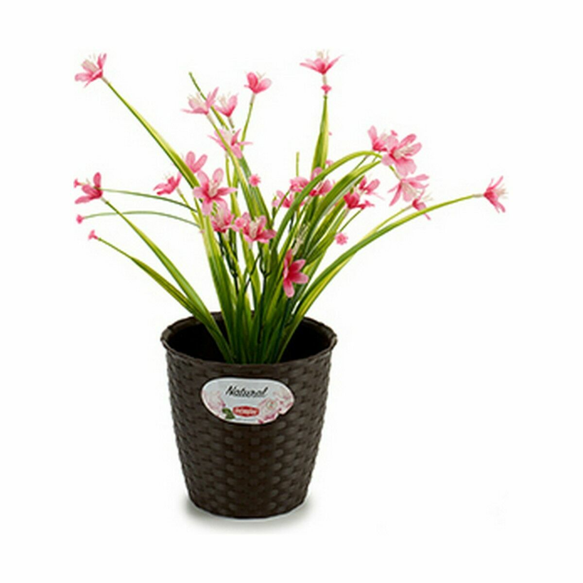 Vaso Stefanplast Plastica 14 x 13 x 14 cm (12 Unità) - Immagine 3