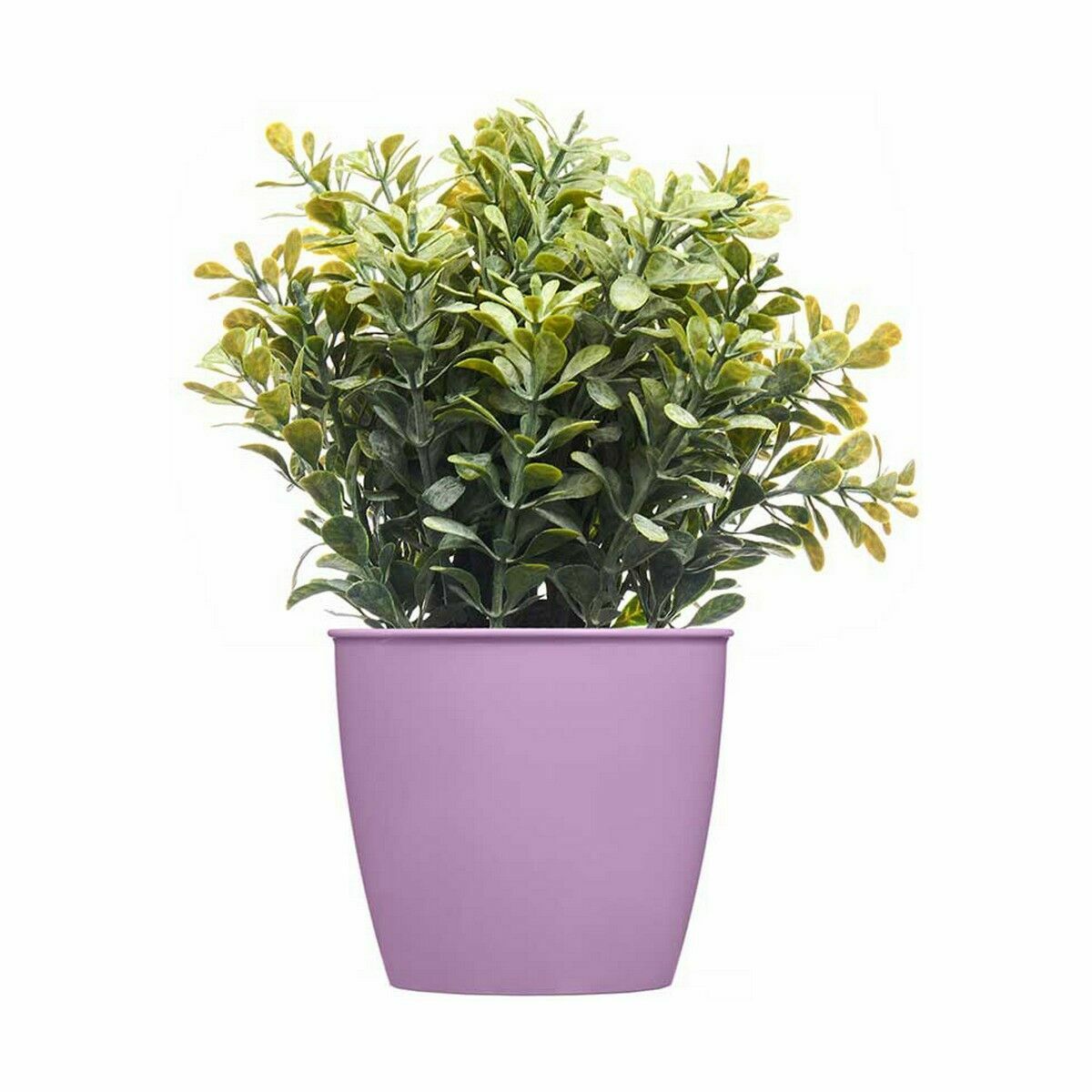 Vaso Stefanplast Academy Plastica 11,3 x 10 x 11,3 cm (60 Unità) - Immagine 3
