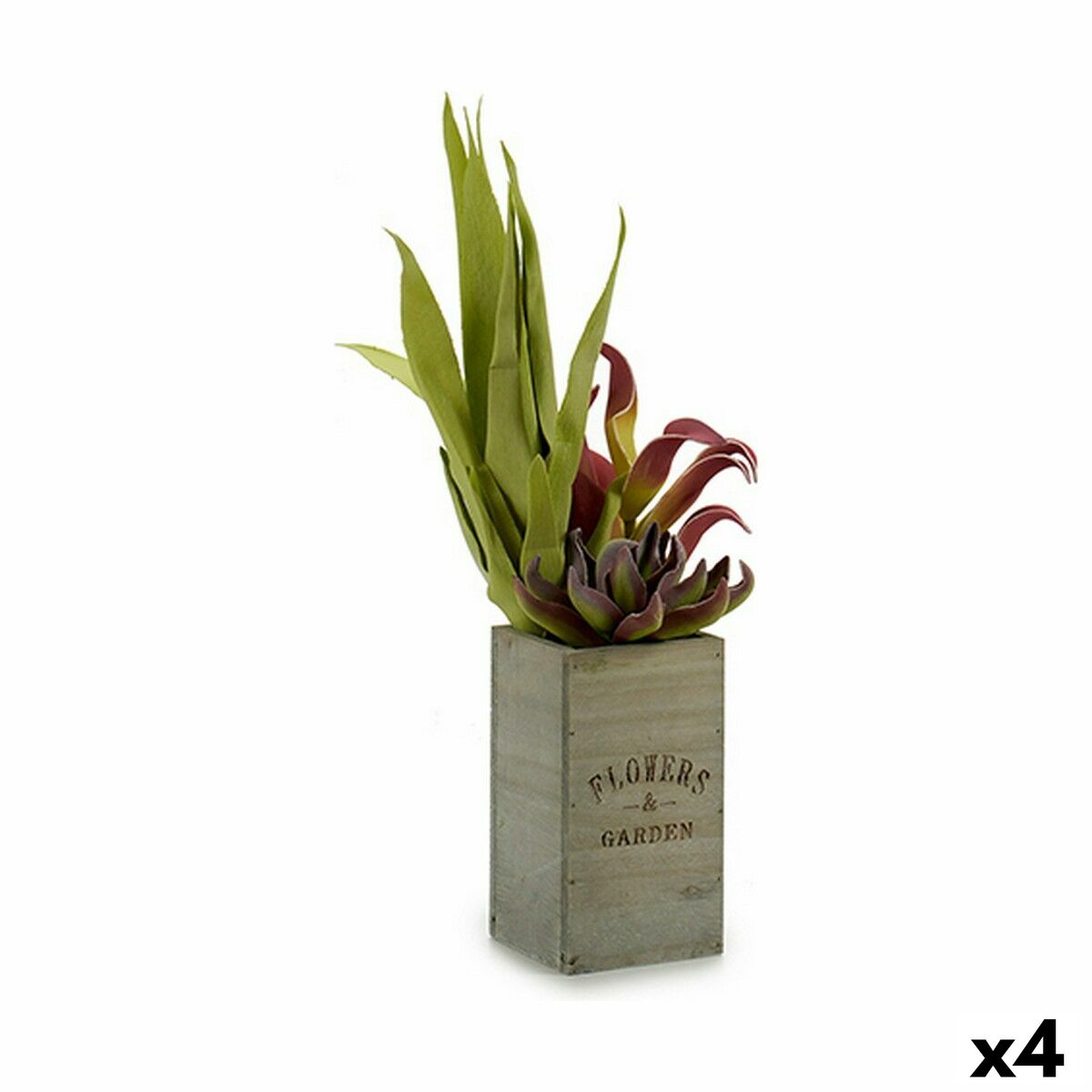 Pianta Decorativa Ibergarden Flowers Garden 10 x 50 x 10 cm Marrone Verde (4 Unità)