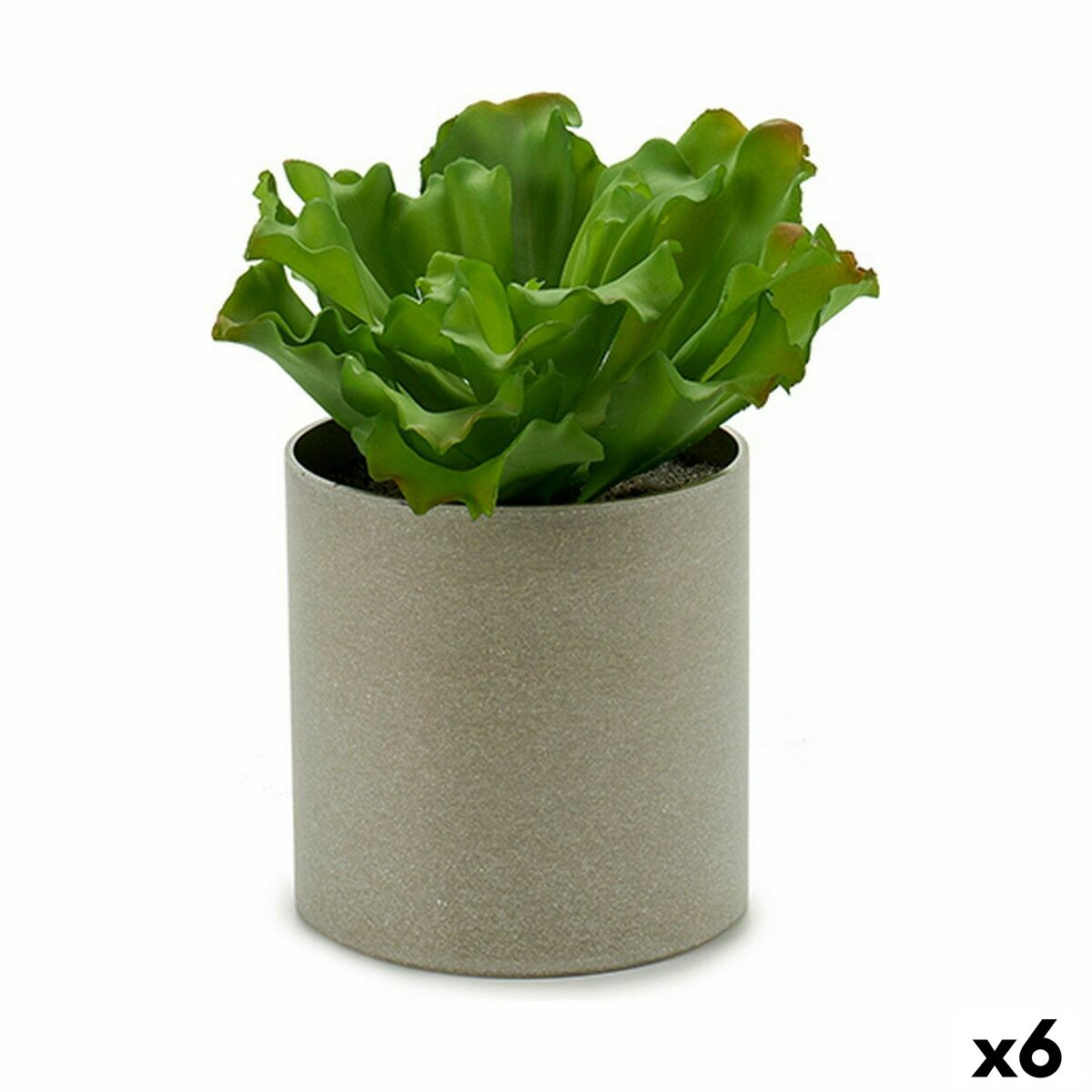 Pianta Decorativa Ibergarden 20 x 25 x 20 cm (6 Unità)