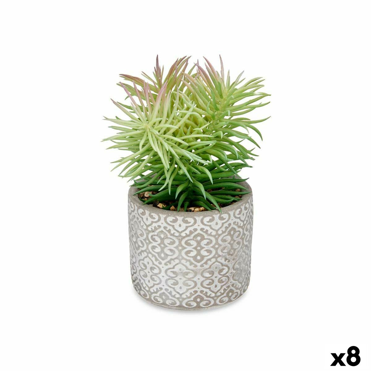 Pianta Decorativa Ibergarden Legno Polietilene Plastica Cemento Succulenta 12 x 22 x 12 cm (8 Unità)