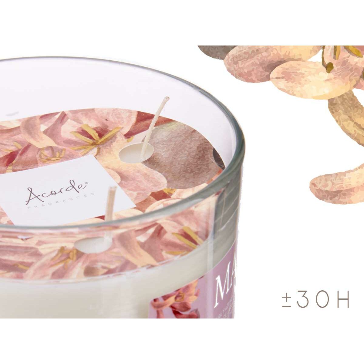 Candela Profumata Acorde Maylu 400 g (6 Unità) - Immagine 4