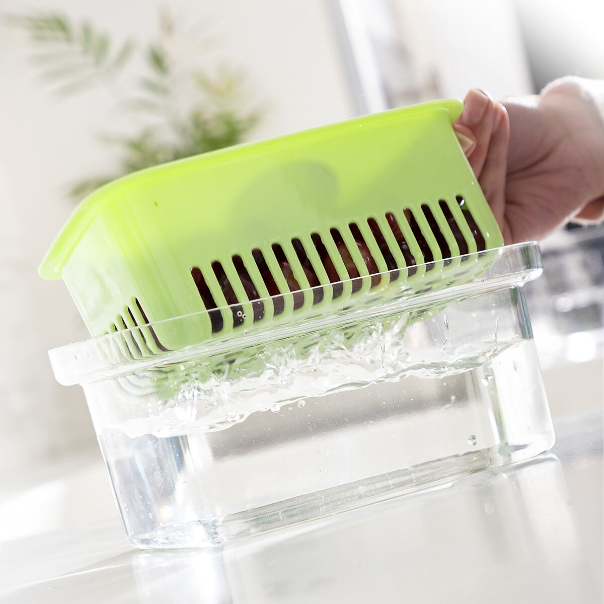 Contenitore per Conservare gli Alimenti Prefo InnovaGoods - Immagine 6