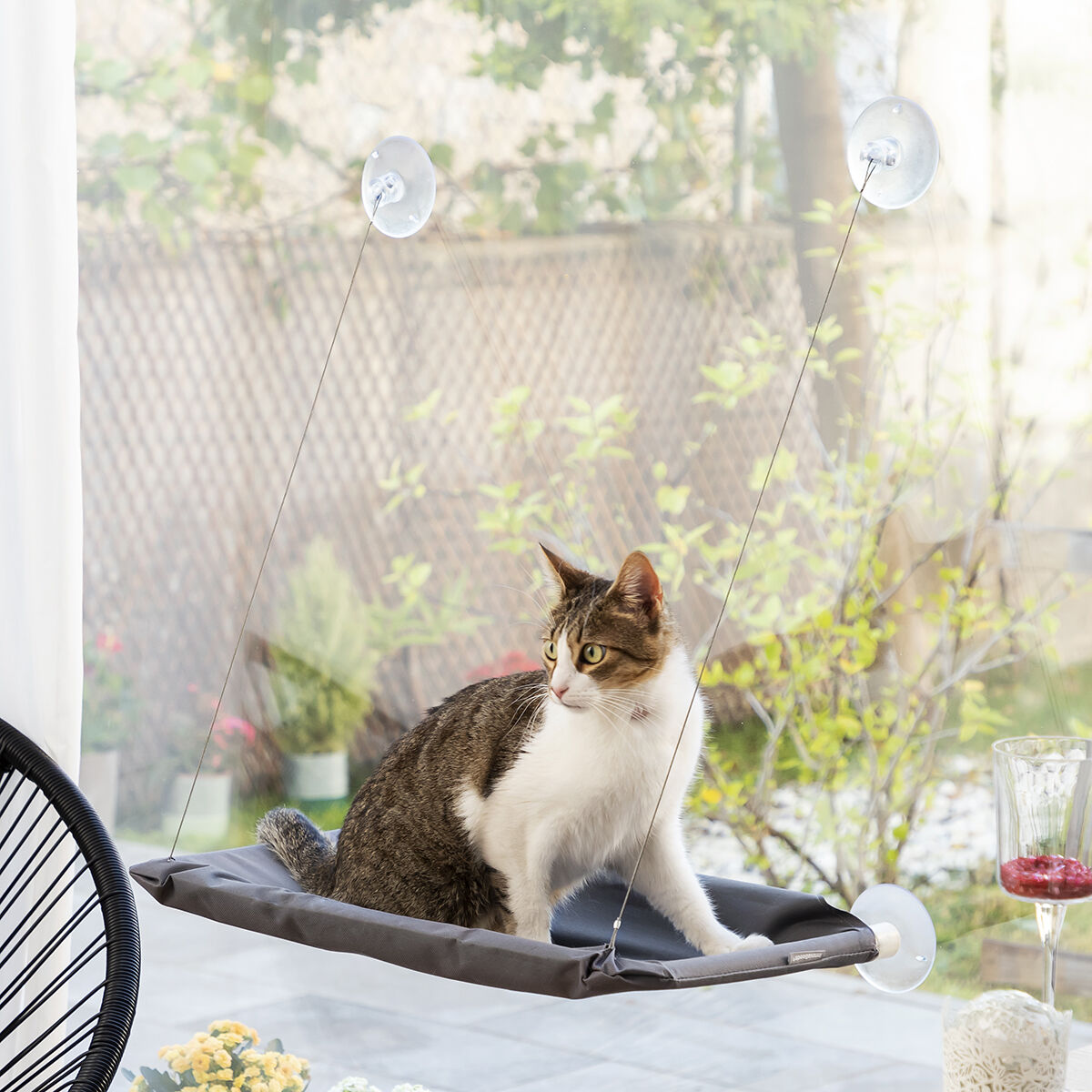 Amaca Pensile per Gatti Catlax InnovaGoods - Immagine 3