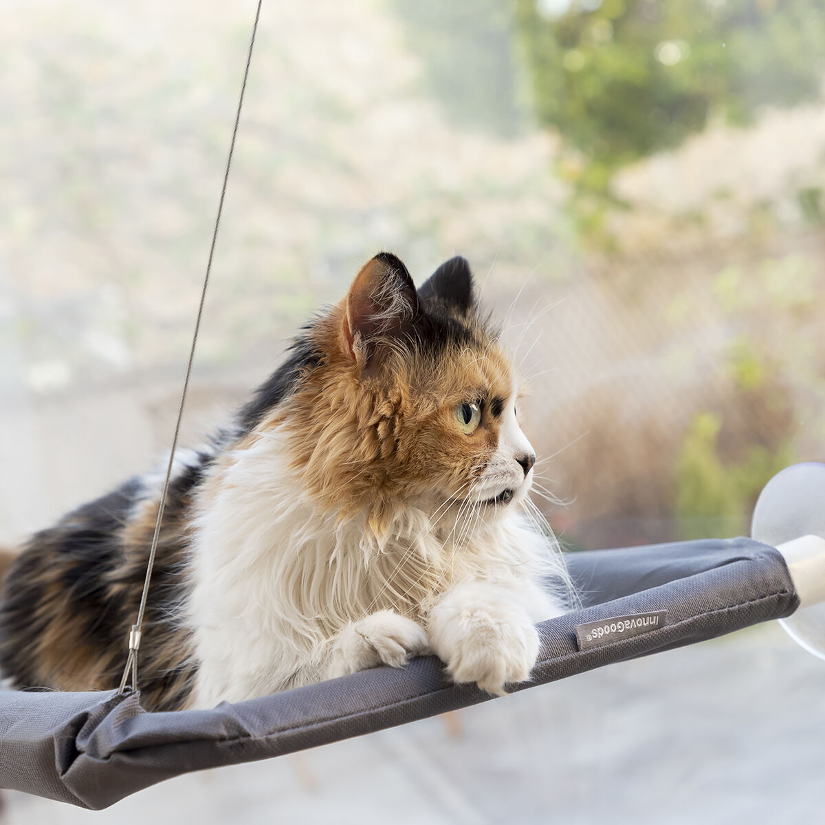 Amaca Pensile per Gatti Catlax InnovaGoods - Immagine 5