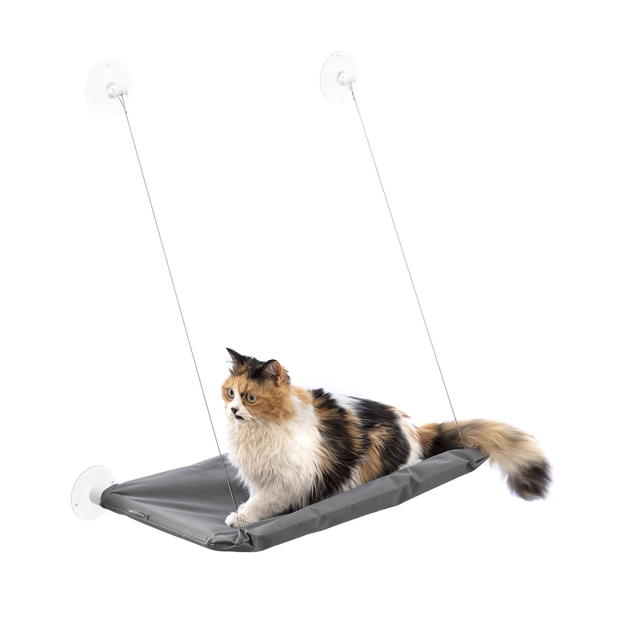 Amaca Pensile per Gatti Catlax InnovaGoods - Immagine 7