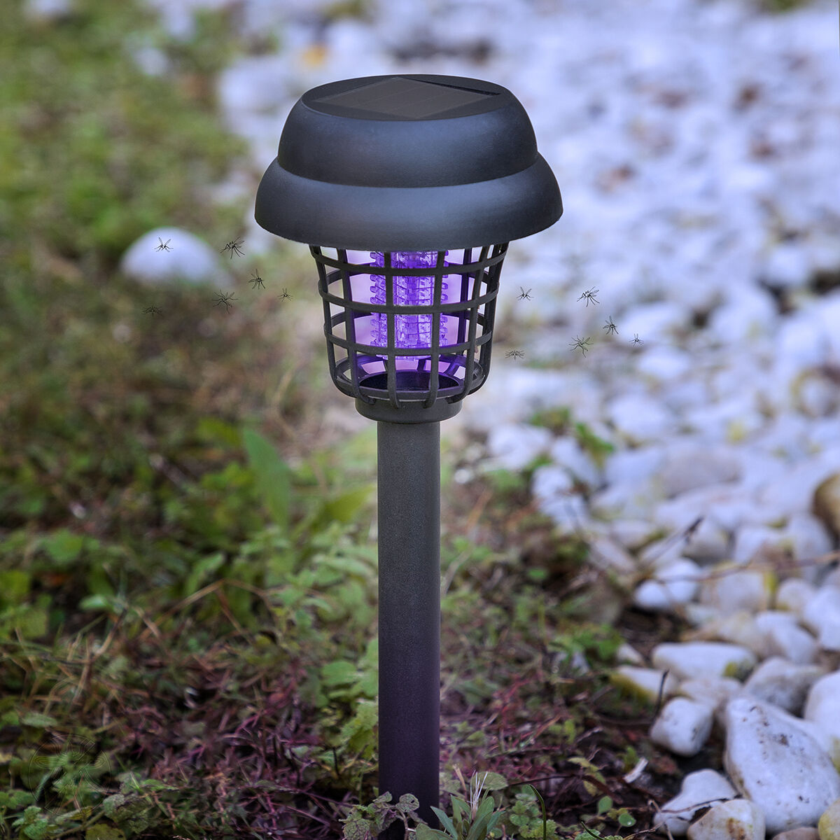 Lampada Solare Antizanzare per Giardino Garlam InnovaGoods - Immagine 2